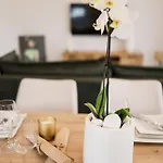 Zara365 Вилла *