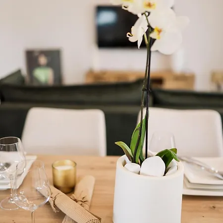 Vila Zara365 ヴィラ *